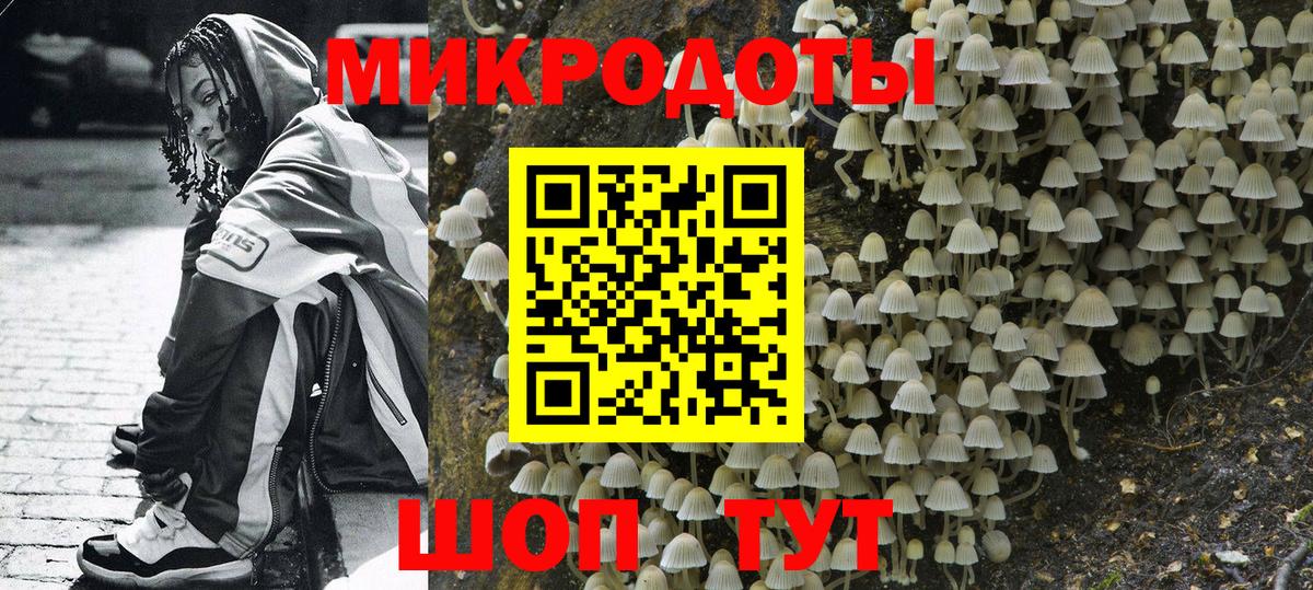 Псилоцибиновые грибы GOLDEN TEACHER Назарово