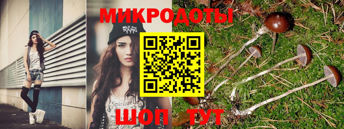 Псилоцибиновые грибы прущие грибы  Вход с VPN  Псилоцибиновые грибы мицелий  Назарово 
